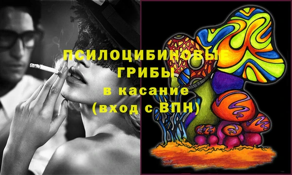 мдпв Михайловск