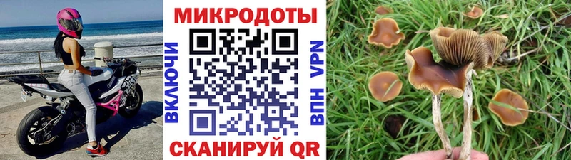 Псилоцибиновые грибы Magic Shrooms  Фатеж 